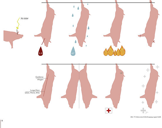 Wiebke Untiedt, Master-Thesis: Wissen wo’s herkommt