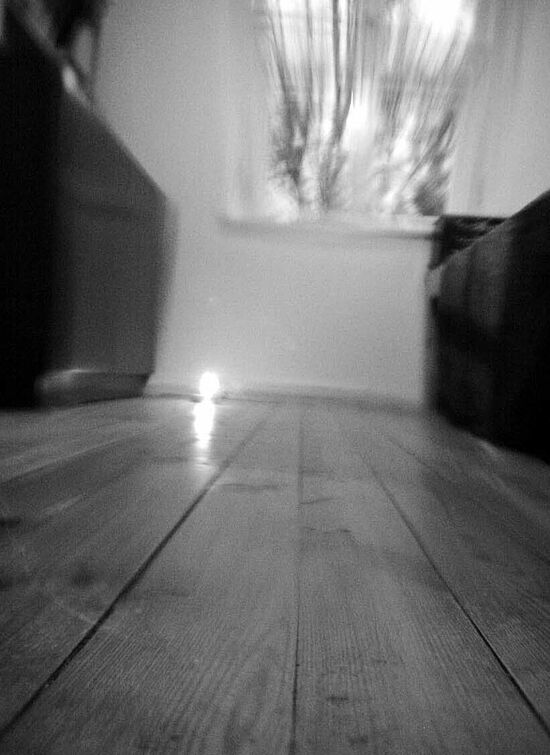 Ariann Ruhle: Der Mensch im Tier