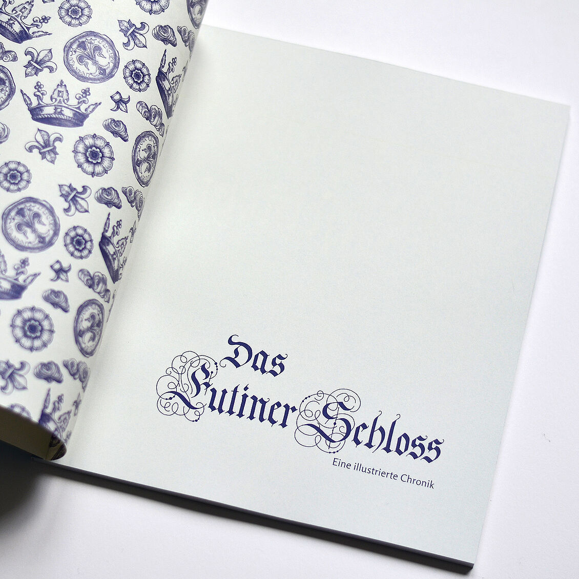 Cassandra Voigt: Das Eutiner Schloss und seine Entstehungsgeschichte – eine Chronik