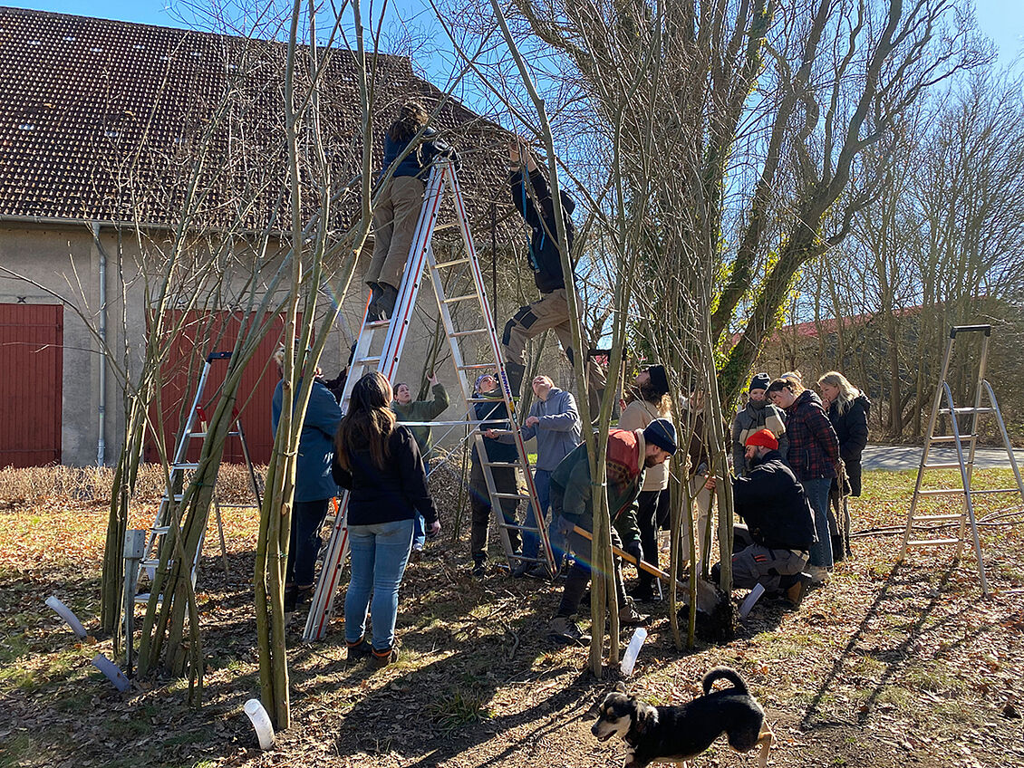 Laura Bach, Sophie Becker, Annemette Bissert, Merit Gaßmann, Melina Holm, Aimée Laatz, Amelie Leu, Erik Meißner, Aljoscha Schmidt, Maike Sievers, Ronja Wagler, Meta Wego, Marlene Wenzel, Lilli Wolf, Louisa Zipfel: Weidezeit auf Biegen und Brechen
