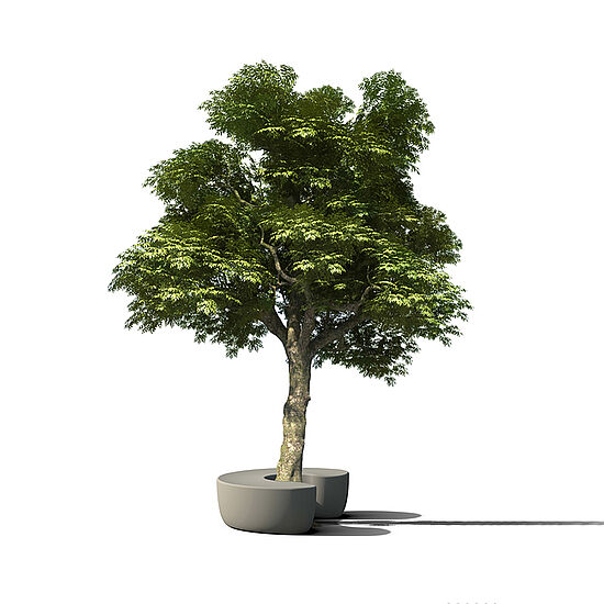 Gruppe: Regensammler