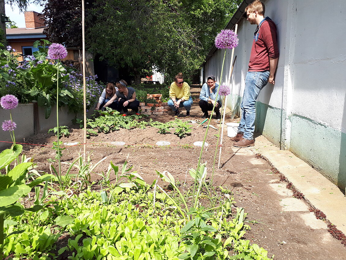 Theresa Brucklachner (SD), Hannes Eggert (MA A), Anne Marie Gasper (KuM), Marie Geiger (MA IA), Andriy Gorpynyak (BA Maschinenbau), Lisa Harnisch (MA IA), Frauke Nessler (MA A), Luise Nitschke (MA IA), Valerie Port (BA BWL), Lea Rönfeld (MA A), Justin Ro: Garten für alle_lokal hacken, global denken, regional kochen
