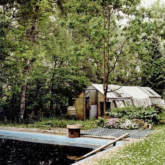 Juliane Siedler: In den Wäldern