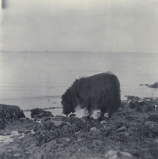 Rebecca Osterberg: Kopf aus