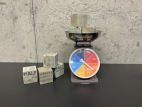 Linn Michaelis: SDG 13 - Maßnahmen zum Klimaschutz