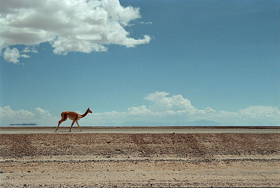 Sophie Anschütz, Aniko Barka, Nicolas Fischer, Jasmin Häußermann, Alicia Langenau, Philipp Ring, Jolanthe Stelzer, Cassandra Voigt, Linnea Votteler, Luisa Zimmermann: Mensch
