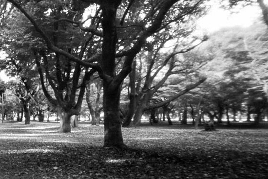 Jano Tenev: Es ist Zeit