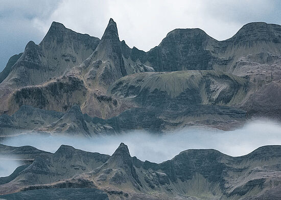 Nele Bielenberg: This is the life