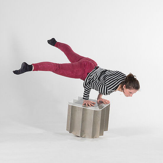 Gruppe: Material und Handwerk 2017