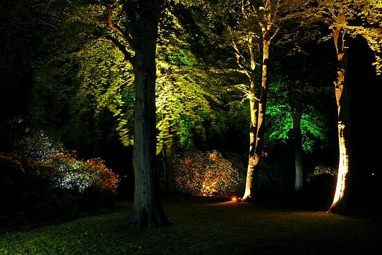 Gruppe: Rhododendron Park Graal-Müritz