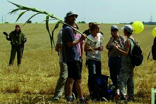 Sabine Hellmann: Die Grenze des Erlaubten