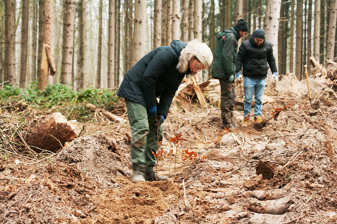 Studierende und Mitarbeiter: Mehr als nur ein Baum – Über das Planen in Jahrzehnten