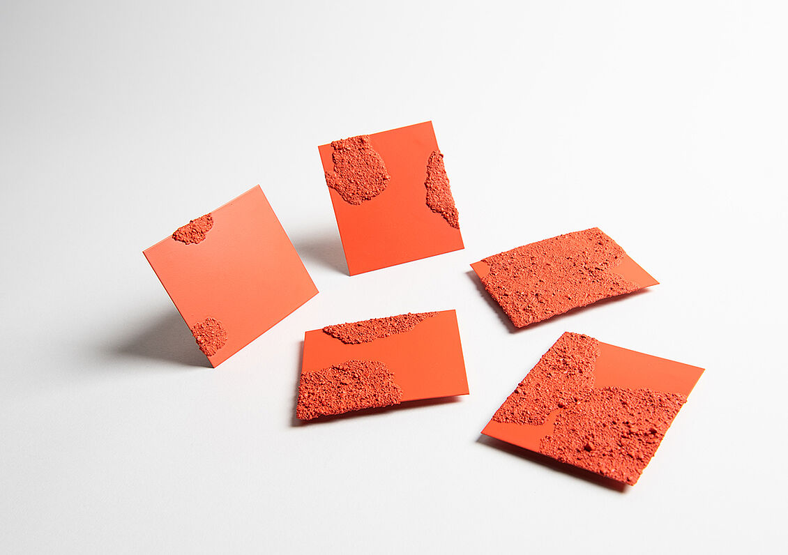 Finja Stöck: Flechten