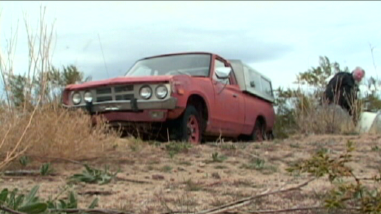 Joerg Steineck: David - der einsame Weise