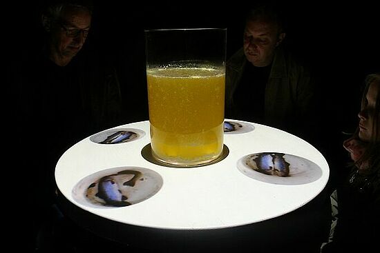 Antonia Kühnemundt: WATER AND SPACE – Gastmahl des Meeres