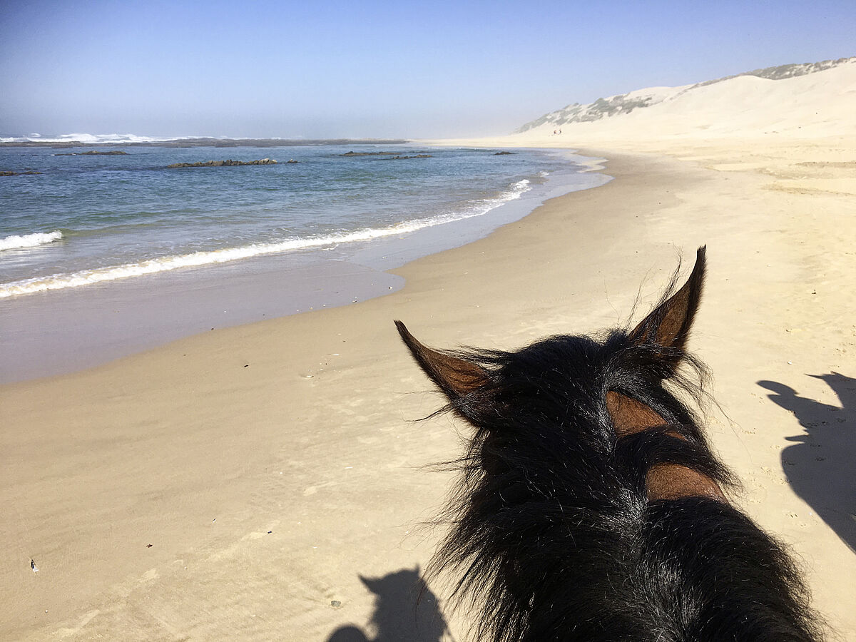 there was alsways time for leisure, fun, beach and sport (here: riding on a horse along the beach)