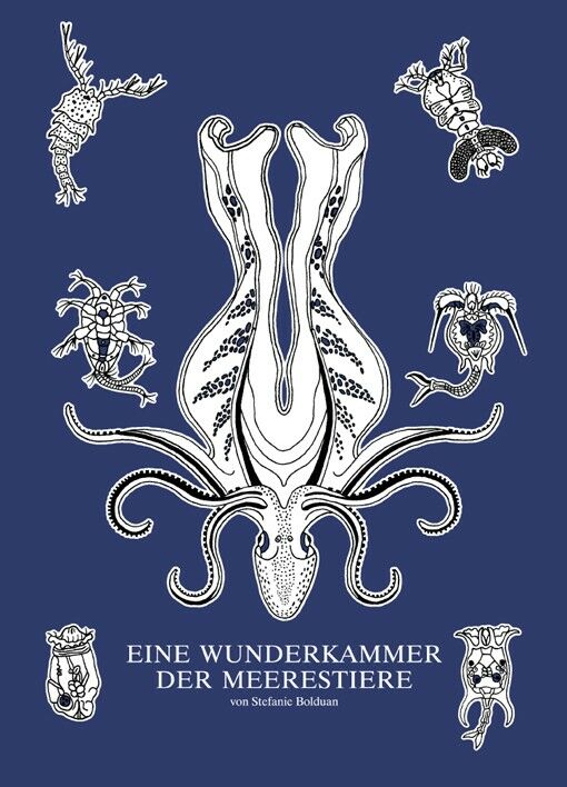Stefanie Bolduan: Kuriositätenkabinett der Meerestiere