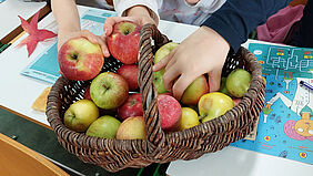 Drei Kinderhände greifen in einen Apfelkorb.