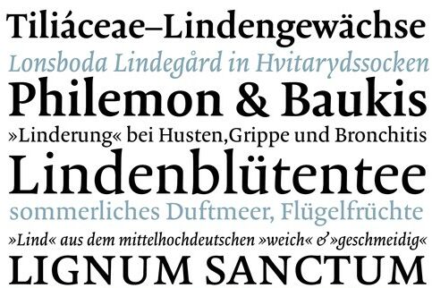 Tobias-David Albert: Entwicklung einer Textschrift, genannt 