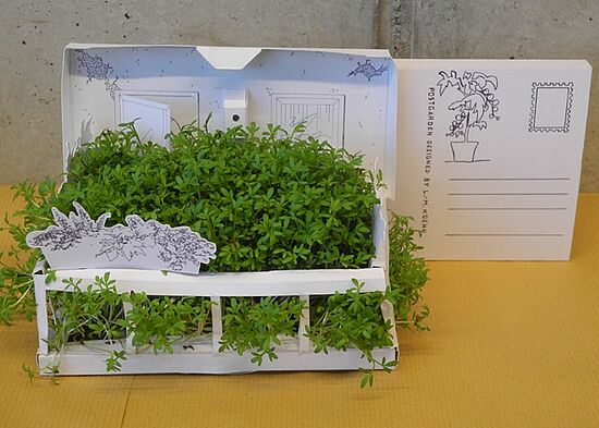 Gruppe | 1. Semester: Minigärten – Ein grüner Gruß per Post