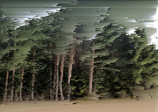 Martin Heidenreich: Fotografische Quellcodes